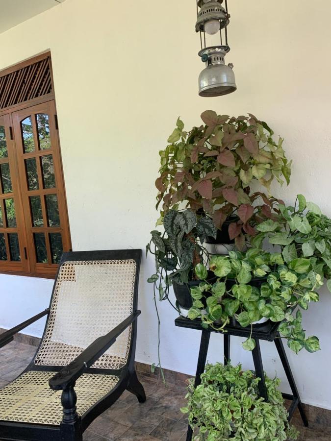 Tranquil Private Villa Near Bentota Beach Exterior photo