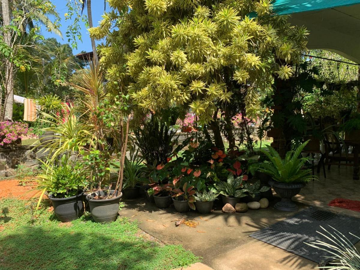 Tranquil Private Villa Near Bentota Beach Exterior photo