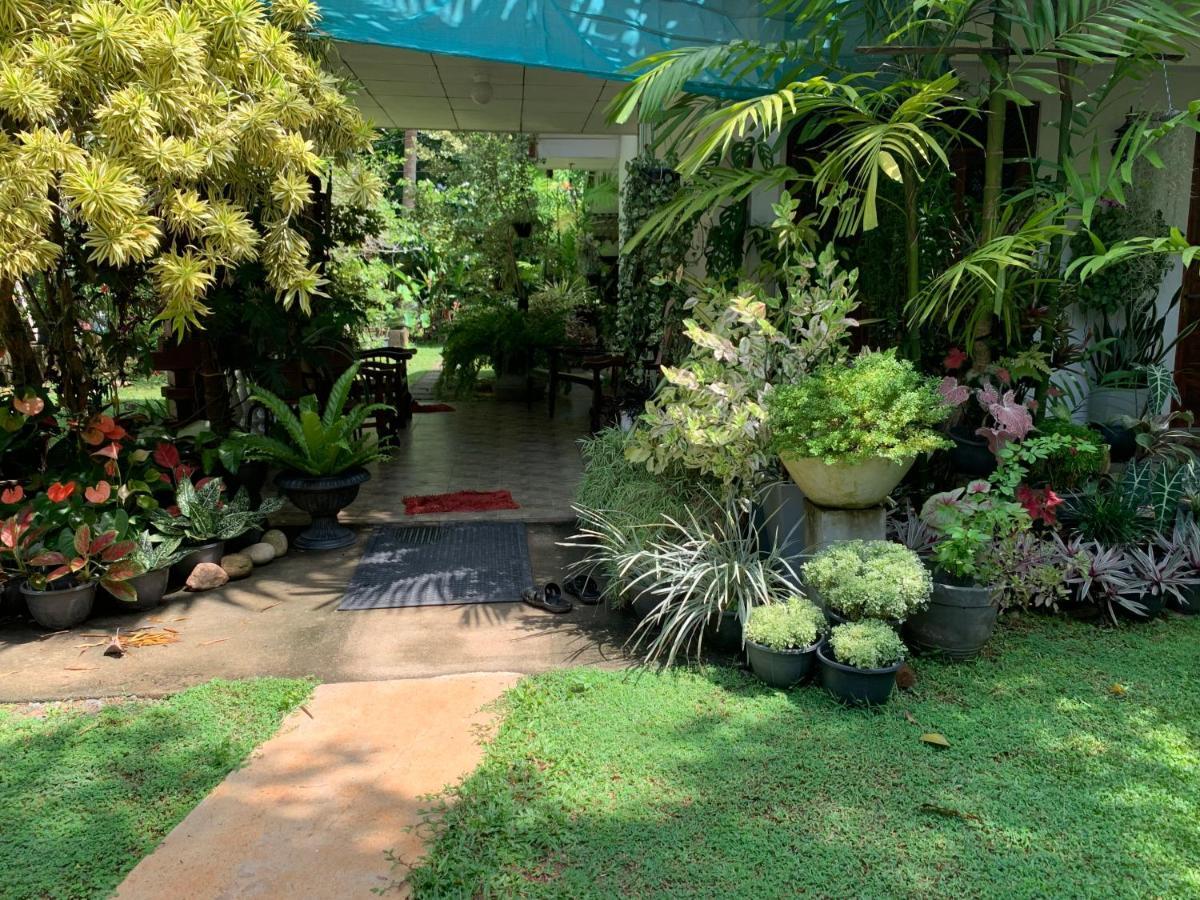 Tranquil Private Villa Near Bentota Beach Exterior photo